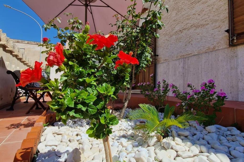 La Cava Di Sasa Villa Favignana Exterior photo